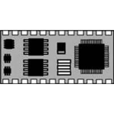 BS2P24-IC